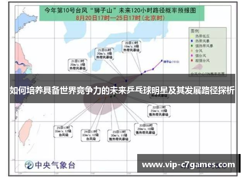 如何培养具备世界竞争力的未来乒乓球明星及其发展路径探析